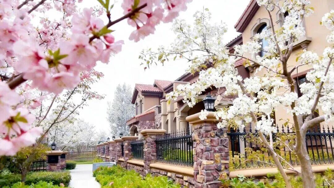 四季花景与度假社区